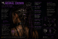 Thumbnail for version as of 08:27, 7 August 2026